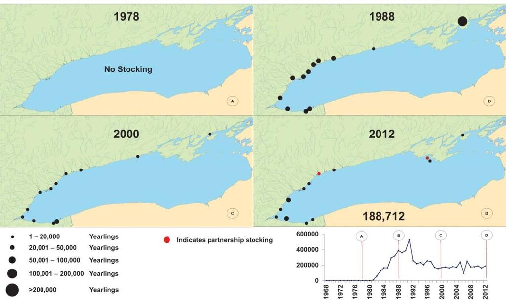 Figure 14: Four decades of Brown Trout stocking in Lake Ontario. 9.2.4.4 Considerations for Future Stocking Brown Trout stocking has not resulted in a significant return to the fishery.
