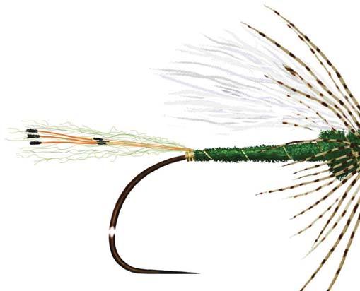 12 TARGET TALK JANUARY 2018 Fly of the Month: John's Western Coachman JOHN VAN DERHOOF, EDITOR Was thinking the other day (a first ) and realized that I have been tying flies now for fifty-five