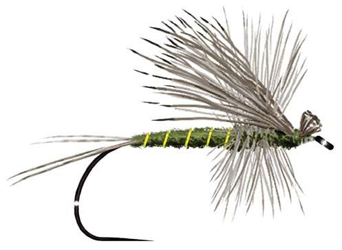 TARGET TALK JANUARY 2018 5 Another Great Year for the Fly Tying Forum DAVE BOYER, CHAIRMAN hope everyone had a great year tying up their I favorite patterns (and catching fish).