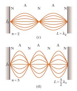 STANDING WAVES, cont.