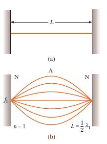 wavelength of the wave: d NN = 1 λ 2 All points on the string