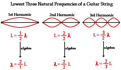 Example 8 A musician plucks a guitar string and it begins to vibrate.