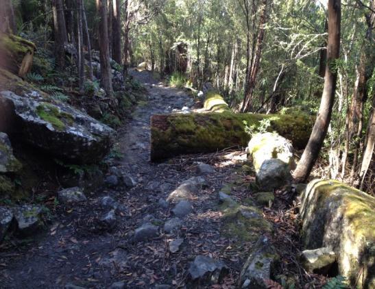 LAND MANAGER UPDATES IMPLEMENTATION OF GREATER HOBART MOUNTAIN BIKE MASTER PLAN MARCH 2014 City of Hobart (CoH) Immediate works Radfords Track CoH has completed work to