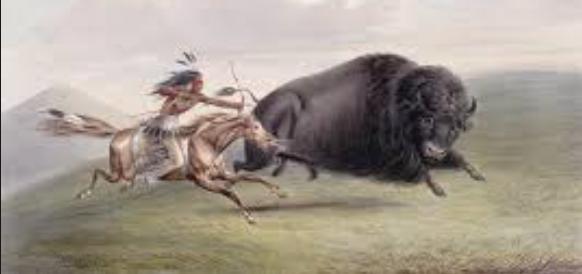 Hunting Buffalo The plains Indians