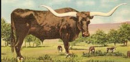 The Cattle Kingdom Following the Civil War, a growing economy and population created a greater demand for beef in the East Getting the cattle from the west to the east caused a problem Joseph