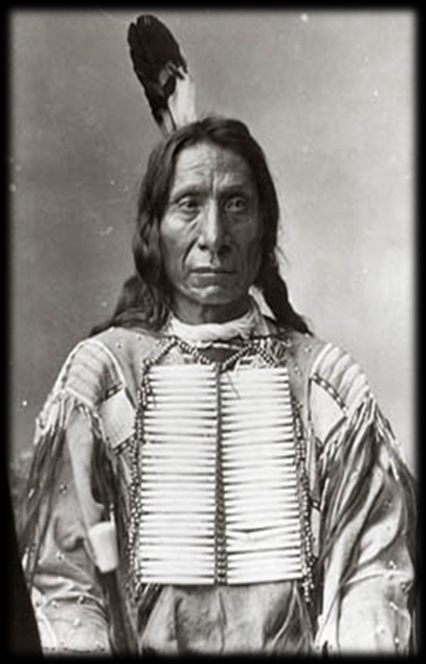 Section 3: Culture Under Pressure Congress sent troops to the northern Plains to prevent any more Native American uprisings.