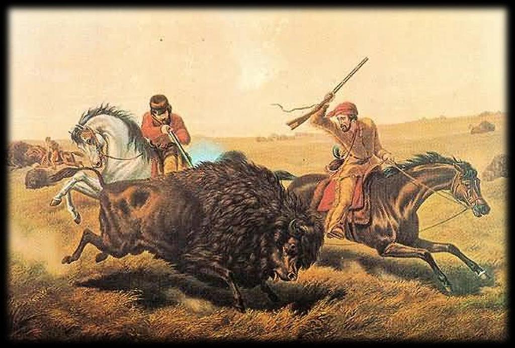Section 3: Culture Under Pressure Herding buffalo had always been a significant part of Native American culture. The U.S. army encouraged the slaughter of buffalo to take away from Indian culture and undermine any resistance.