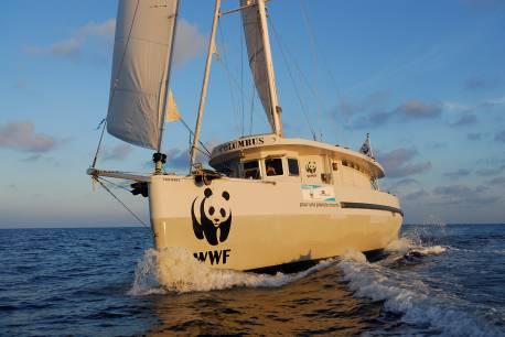 The organization: In 2006, WWF-France launched a 3-year research programme focused on fin whales' distribution, abundance and behaviour in partnership with the Fondation Nicolas Hulot (FNH). www.wwf.