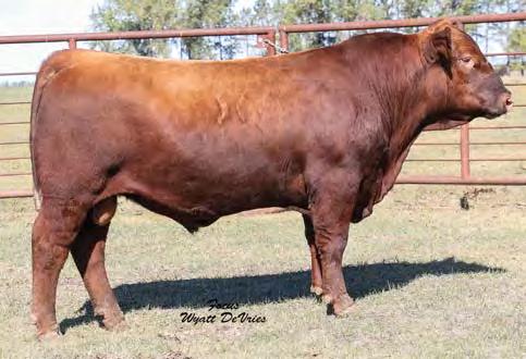 Sires Selling Reference Sire A Reference Sire B Reference Sire C A TKP CINCH 6274 TAG:6274 3/13/16 3592562 100% 1A 84 739 1452 BECKTON EPIC R397 K LSF SAGA 1040Y LSF MINOLA T7172 W9041 PIE CINCH 4126