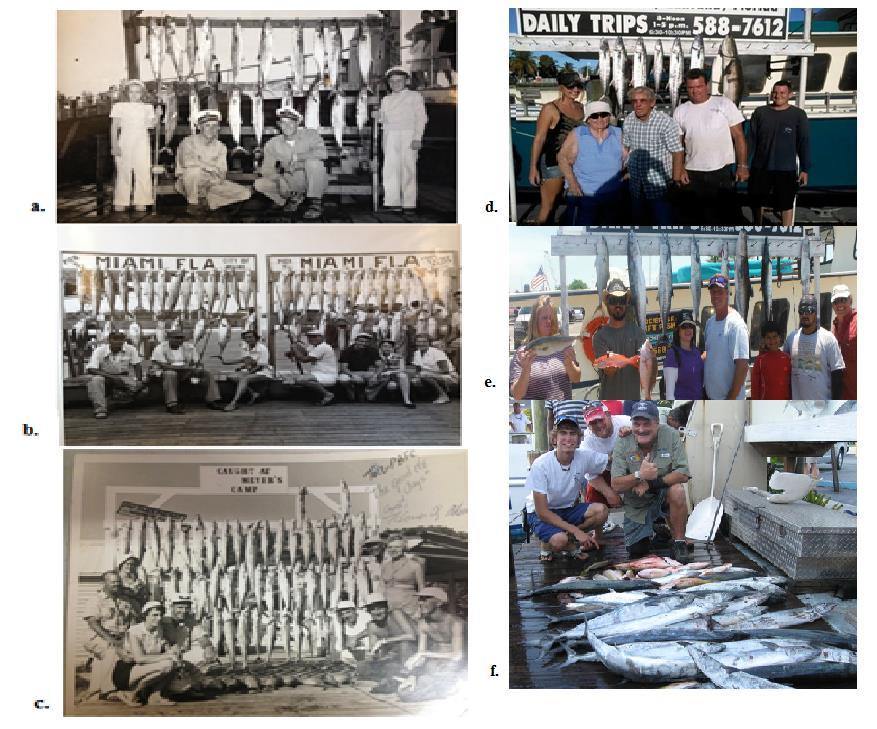 Figure 2. a) A photo of a kingfish catch from Ft. Lauderdale in 1941 (IGFA Archives) b) Kingfish catch from Miami s Pier 5 in 1952 (IGFA Archives).