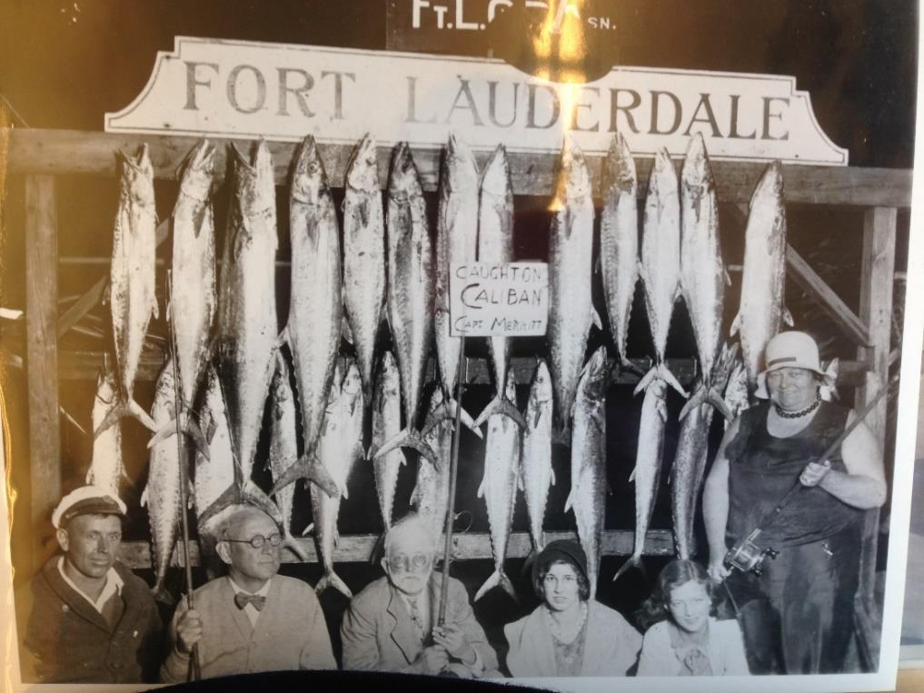 We had a period there I want to say it was the middle to late 80 s that they were still commercial netting the kingfish, and you couldn t catch a king fish at all hardly and that s when we went from