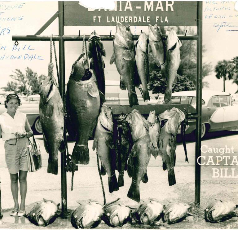 Figure 7. A large warsaw grouper (sp.) catch from Fort Lauderdale, estimated to be in the1950 s (International Game Fish Association Archives).