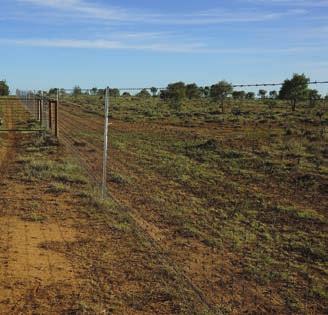 RESEARCH REPORT FENCING KONDININ GROUP Southern Wire Southern Wire offers a large range of Farmfence prefabricated sections with a compact square knot.