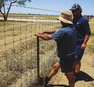 KONDININ GROUP RESEARCH REPORT FENCING Case study Tambo cluster Name: Andrew Turnbull Location: South Tambo, Queensland Property size: 7200ha of 300,000ha cluster Fence length: 10km of 300km total