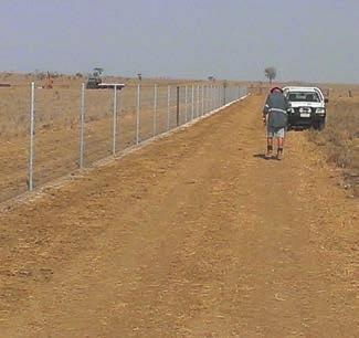 RESEARCH REPORT FENCING KONDININ GROUP Case study Nigel and Rosemary Brumpton Location: Mitchell, Queensland Property size: 4,500ha Fence length: 25km Fence construction: Clipex posts and 14/150/15