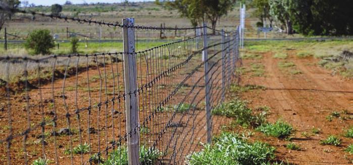 exclusion, or feral fencing. Whether it s lambs lost to wild dogs or pigs, or pasture and crops lost to hungry kangaroos, feral animals can have a significant impact on the bottom line.