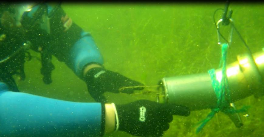Introduction The Lake Ellwood Association solicited the services of Many Waters, LLC to utilize their Diver Assisted Suction Harvesting (DASH) program to manage for Hybrid watermilfoil (HWM) from