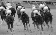 Race Horses Pull with Front End Hill Work Race horses pull with their front end so the back end is weak If the track has been cuffy the horse may have stifle weakness/soreness from the dirt giving