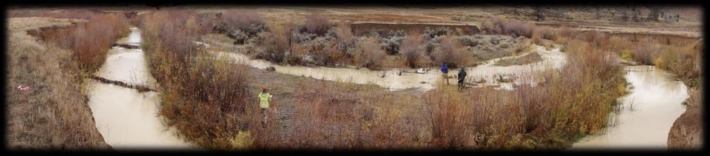 Pataha Creek Working With Beaver to Restore Steelhead Habitat Can we use beaver dams to aggrade the channel and access inset floodplain to