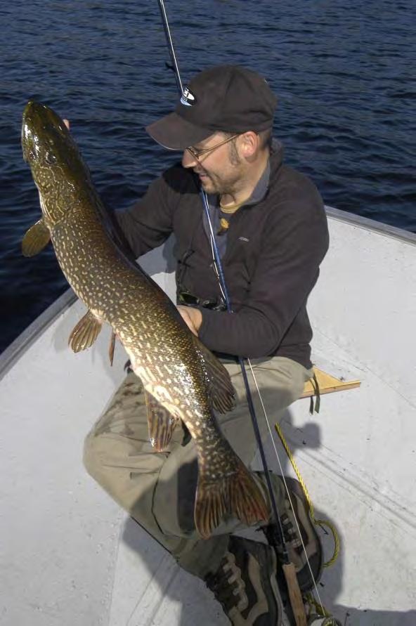 This is my personal favorite guiding trip for pike.
