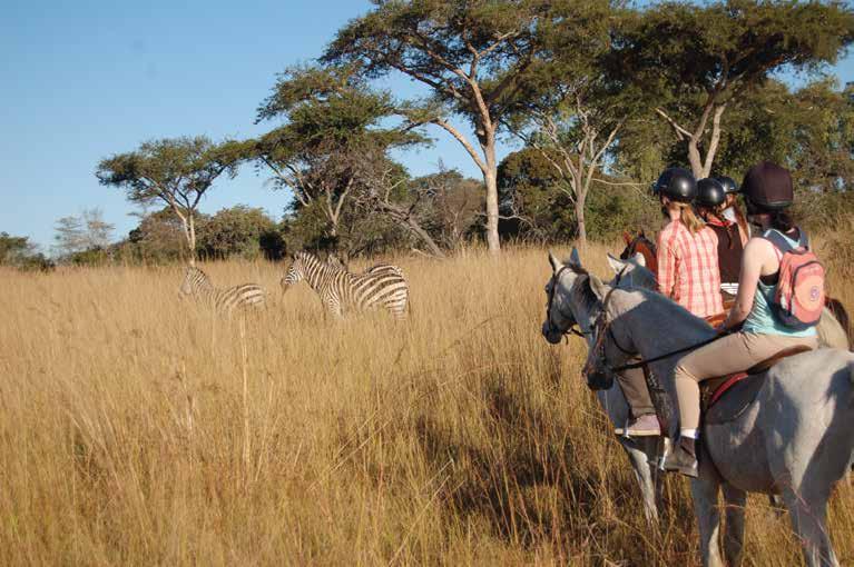 ANTI-POACHING AND SECURITY - Undertake snare patrols and critical anti-poaching monitoring on horseback - Fence and boundary monitoring on horseback - patrol inaccessible areas of the game park to