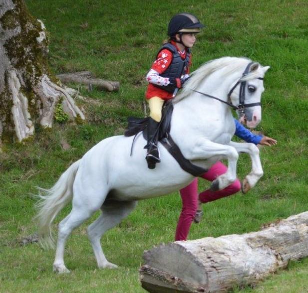 EXPRESS EVENTING Organised by THBPC Sunday th September 2017 At The White House and Dyffryn Meifod, Powys, SY22 6DA By kind permission of Alison Lewis Saddlery, please follow directions on A495 to