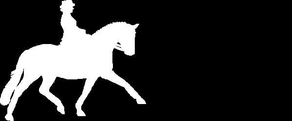 STURDY 0th JUNE 07 t the Pinjarra Horse & Pony lub Lovegrove