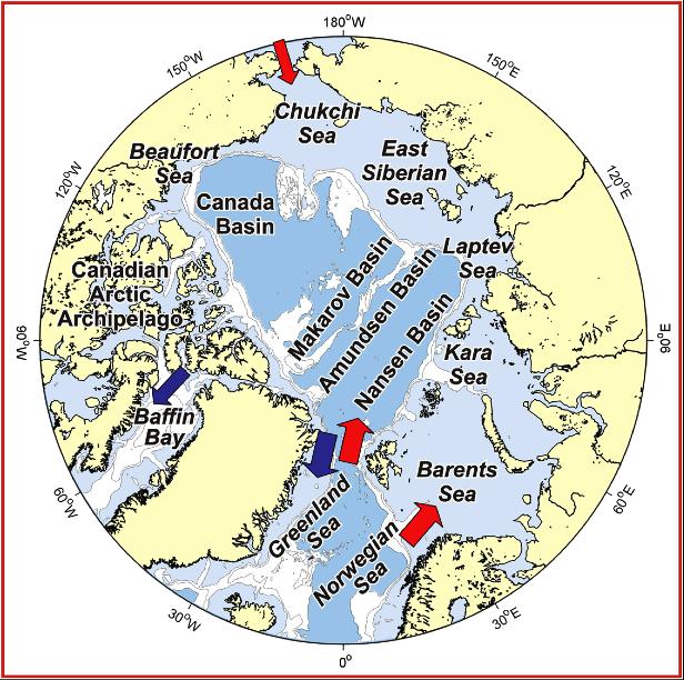 The Arctic Ocean is a Mediterranean Sea About 50% of the surface is comprised by shallow shelves with depth < 300m Carmack & Wassmann 2006