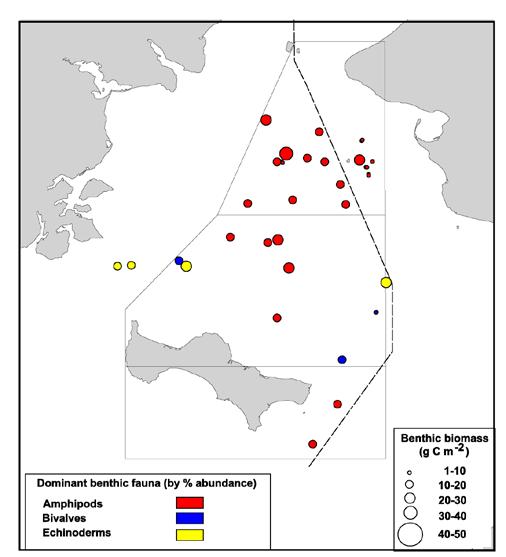 Evidence for recent benthic change Chirikov Basin