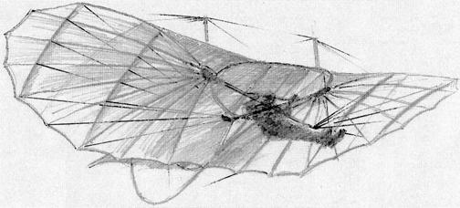 The Kiteflier, Issue 111 Page 5 Kites and The Wrights George Webster worked with Stringfellow, if any light and flat, or nearly flat, article be projected edgeways in a slightly inclined position, it