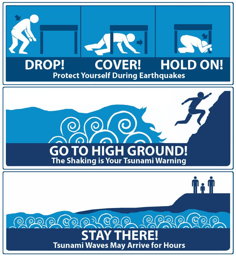 Going to the beach is one of the best things about living in California. But anytime you are near the beach, harbor or bay, you are at risk for a tsunami. What is a tsunami?