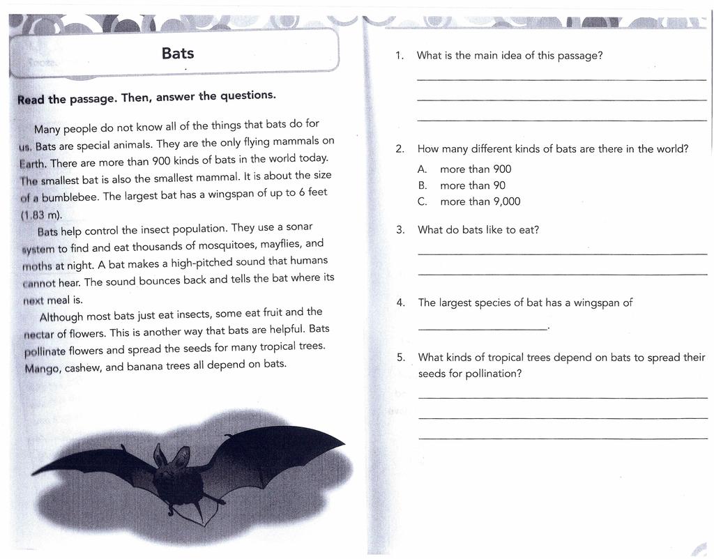 Bats 1. What is the main idea of this passage? ad the passage. Then, answer the questions. Many people do not know all of the things that bats do for UI. Bats are special animals.