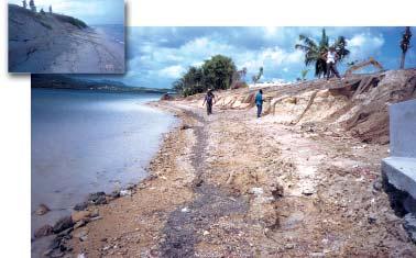 part because the vegetation had been removed, 1998 Much of Barbuda s coastline and many of Antigua s bays are fringed with low sand dunes.