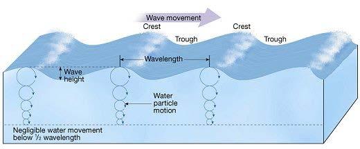 In open water, water molecule in wave moves in circular trajectory (no net forward motion) that decreases with increasing depth; water is motionless at