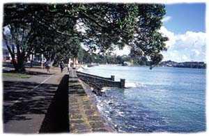 Examples from around New Zealand An example of a seawall that doubles as a