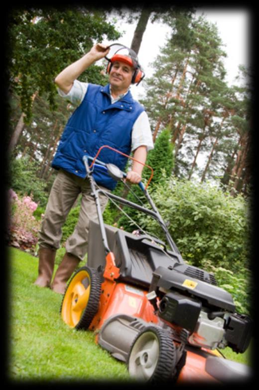 Lawn maintenance activities include such tasks as mowing, edging, pruning, fertilizing and general clean-up.