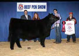 industry steers the purebred market