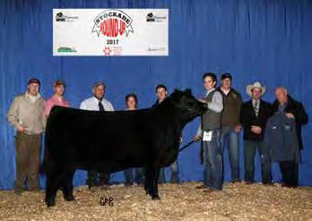 We were humbled by one of the best Angus