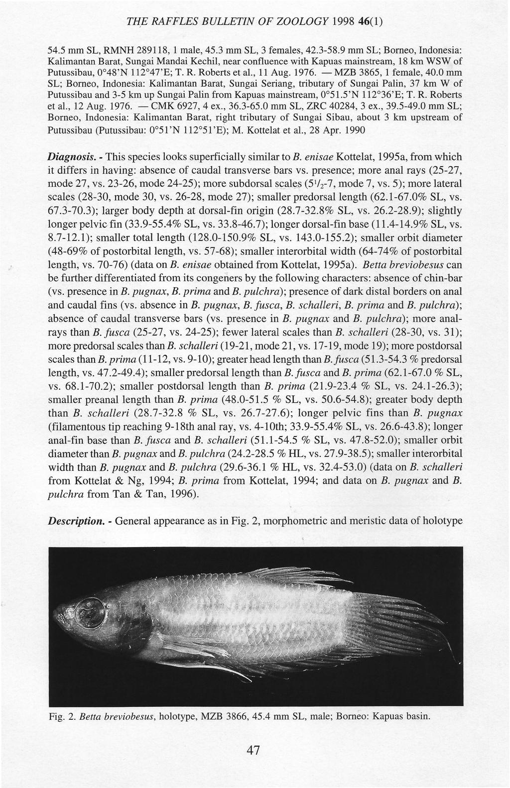 TH_E RAFFLES BULLETIN OF ZOOLOGY 1998 46(1) 54.5 mm SL, RMNH 289118, 1 male, 45.3 mm SL, 3 females, 42.3-58.9 mm SL; Borneo, Indonesia: Kalimantan Barat, Sungai Mandai Kechi!