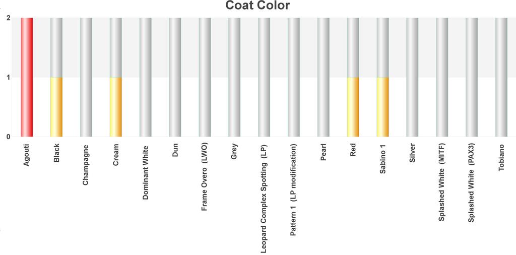 Inheritance Probabilities Coat Color Inheritance Probabilities: The bar graph above depicts the number of alleles for specific coat color phenotypes based upon your