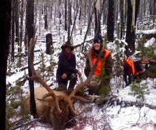 New info for Montana Hunting: GOOD NEWS FOR HUNTERS!! MY PRICES HAVE DROPPED, TO JUST WHAT IT COSTS TO RUN WITH OVERHEAD AND PAY QUALITYGUIDES. THERE IS LOTS OF GAME HERE, AND I NEED MORE HUNTERS.