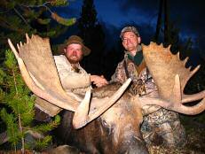 Grizzly Excellent Moose/Goat/Mountain Caribou Hunt: Great Discount!