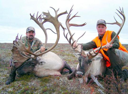 Manitoba Central Barrenground Caribou Hunt #4 Hunt the Qaminurjuaq Herd of northern Manitoba. For big, central Barrenground Caribou, with really nice lodging, this hunt is as good as we offer.