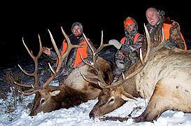 Premier Montana Private Ranch Elk/Deer- Hunt 2014 Openings Grizzly This hunt takes place on one of central Montana s premier private ranches.