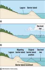Barrier Islands Barrier islands are long, narrow, emergent strips of sand separated from the mainland by lagoons. Common along the southeastern coast of the U.S.