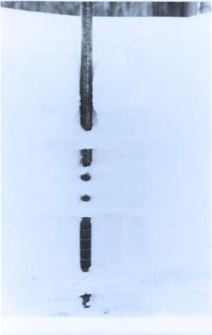 These measurements are used to calculate the winter severity index. In some locations, MNR staff take weekly readings of snow depth, condition of crusts, snow compaction and chill.