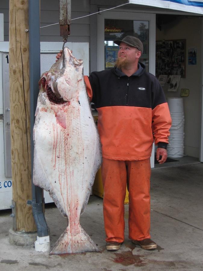 Public Meetings to Discuss the Pacific Halibut Catch