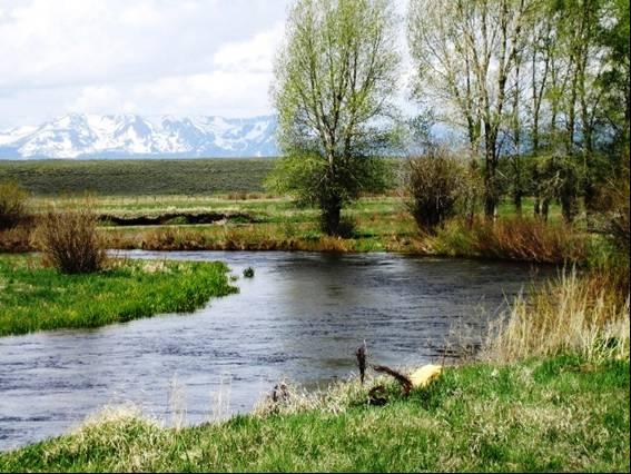 Double M Ranch Jackson County, CO Professionally Developed Trout Fishery and Recreational Ranch Over 2 miles of trophy fishing on the Michigan River One hour from Steamboat Springs Resort