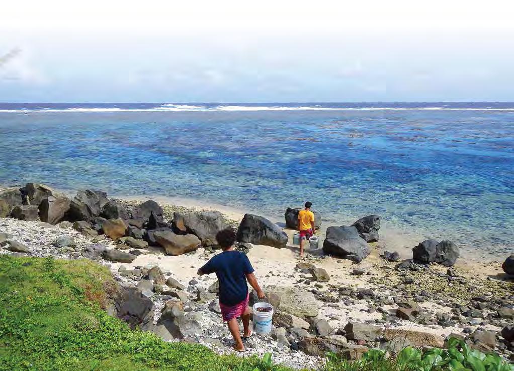 American Samoa Harvesting of Beche-le-Mer Banned for Six Months in American Samoa On Dec. 4, 2013, Gov. Lolo M.