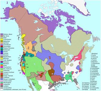 American Diversity 2000 different languages spoken by Americans in North America Had different cultural practices Had trade alliances and inter-tribal networks Langs N. America. 2005.